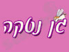 נטקה 