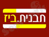 תבנית.ביז 