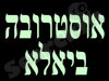 חסידות אוסטרובה ביאלא 