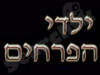 להקת ילדי הפרחים 