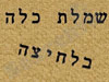 שמלת כלה בלחיצה