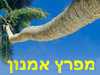 מפרץ אמנון