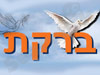 ברקת הרחקת יונים