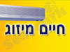 מיזוג חיים