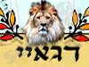 רגאיי ישראלי 