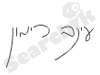 רימון עינב 