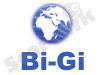 Bi Gi