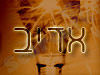 אדיב עבודות חשמל 24 ש
