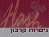 פלאש גיטר 