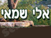 שמאי אלי