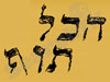 הכל תוף