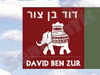 דוד בן צור 