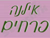 פרחי אילנה 