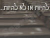 בלוג מצלמות אבטחה 