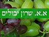 יבולים א. שרון