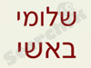 שלומי באשי