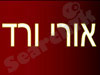 ורד אורי 