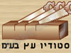 סטודיו עץ