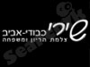 שירי כבודי