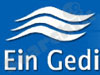 Ein Gedi