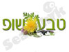 טבע שופ