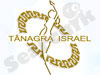 ננוקרטין סיסטם 