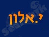 י. אלון טרייד אין 
