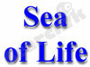 Sea Of Life