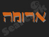 צילום בניחוח אחר - ארומה