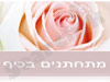 מתחתנים בכיף