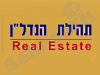 תהילת הנדל