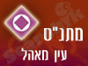 מתנ