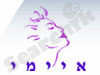 מכון איימי לאסתטיקה