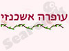 עופרה אשכנזי