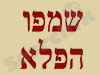 שמפו הפלא
