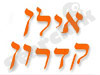 קדרון אילן