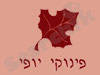 פינוקי יופי 