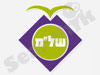 שרות לאומי למבוגר