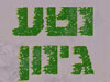 נטע גינון
