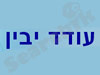 עודד יבין - מורה לגיטרה ומוסיקאי