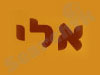 אלי אינסטלטור