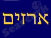 ארזים - חברה לבניה ושיפוצים 