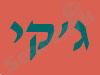 ג`קי האינסטלטור