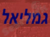 גמליאל אינסטלציה