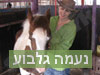 רכיבה טיפולית חוויתית 