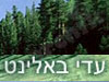 עדי באלינט 