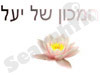 המכון של יעל