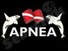 בית ספר לצלילה Apnea