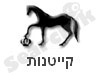 קייטנת חוות 
