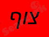 צוף